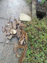 Débouchage WC à Bourg-en-Bresse 01000 : canalisation bouchée avant intervention (curage et inspection caméra)