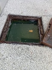 Inspection caméra canalisation